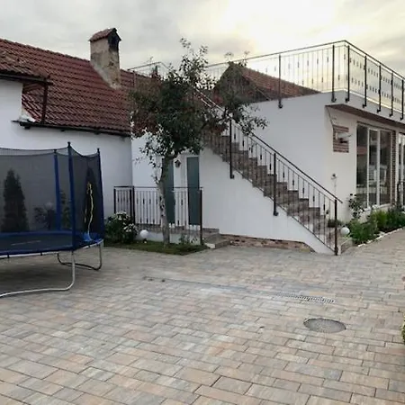 Bed and Breakfast Conacul Flo'camy *